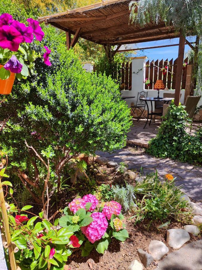 Bed and Breakfast La Pirata Capitana Costa degli Angeli Exteriér fotografie
